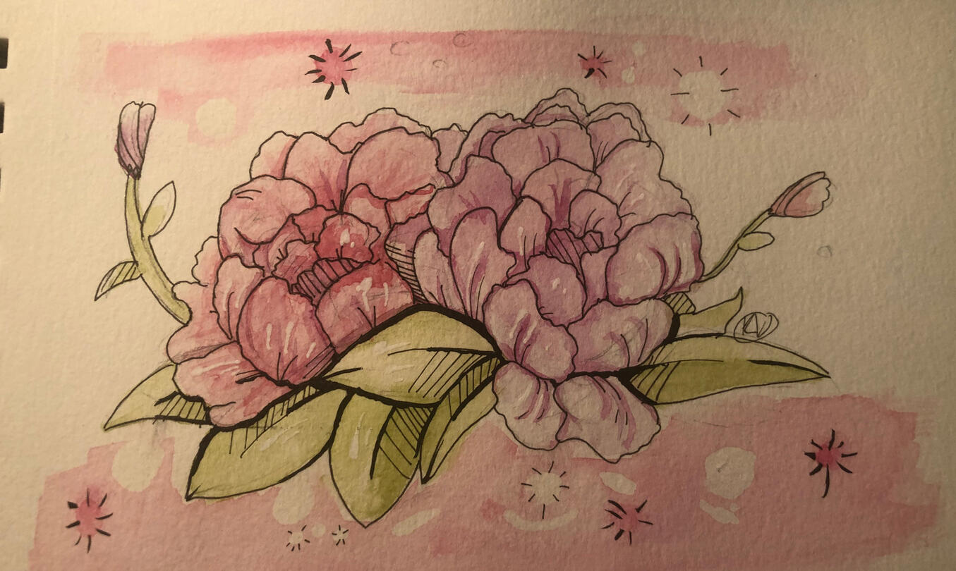 Peonies are my Favorite